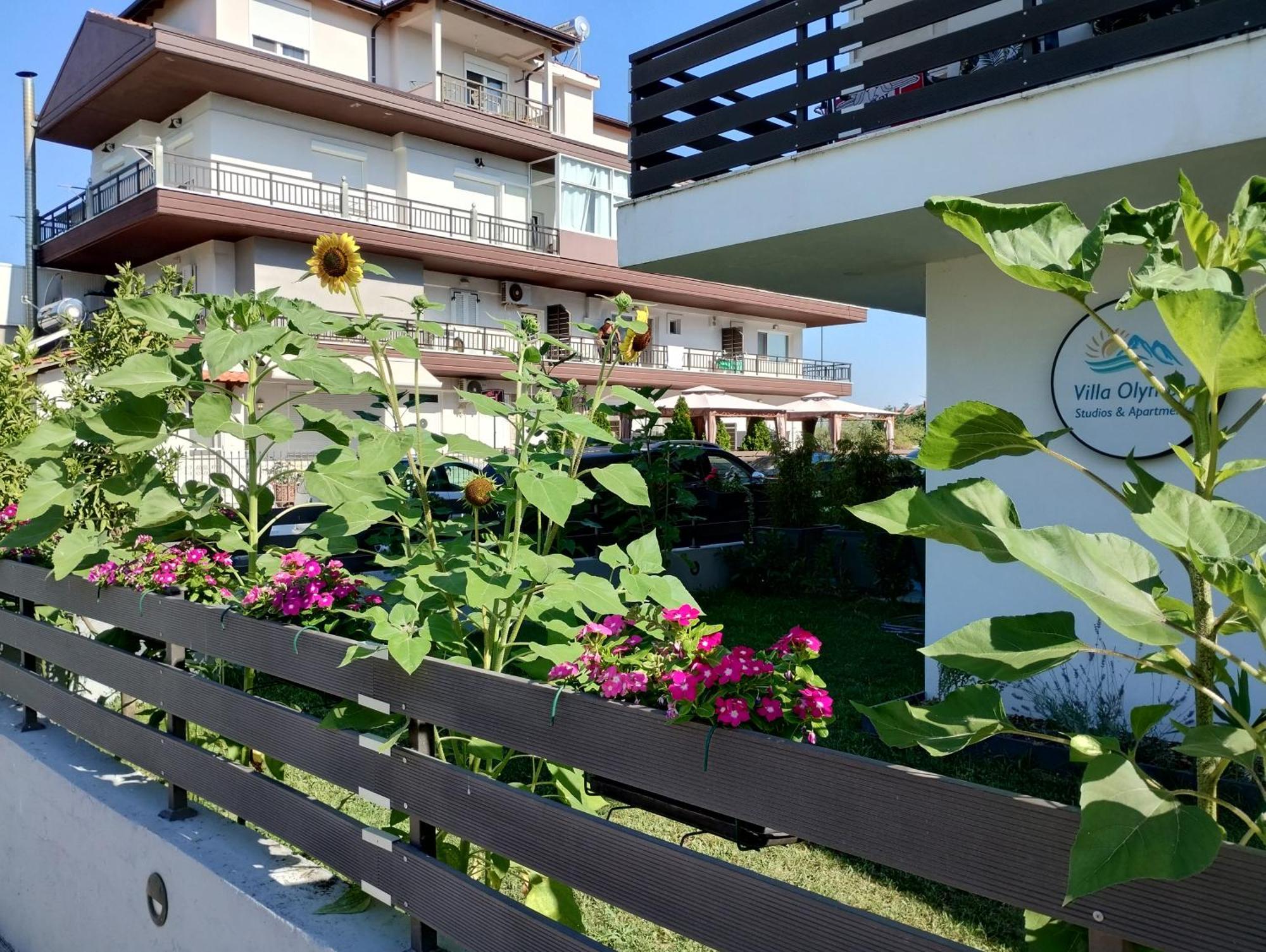 Villa Olympia Paralia Katerinis Exterior photo